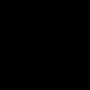 Meet your Posher, Ari